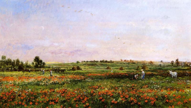 Charles-Francois Daubigny Fields in the Month of June oil painting picture